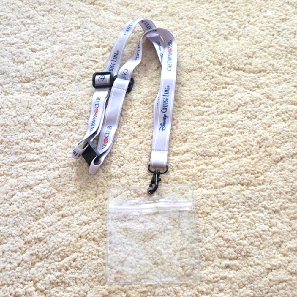LIKE NEW: LOUNGEFLY DISNEY CRUISEπ³ LINE BUNDLE - Picture 7 of 8